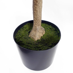 Botanik Eucalyptus Artificial Tree in Pot 5ft - Size: 150 x 50 x 50cm - Green - Wilko - thumbnail 4