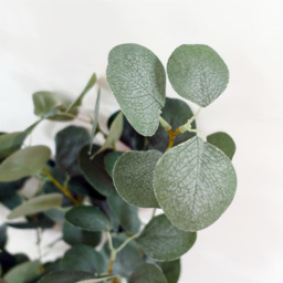 Botanik Eucalyptus Artificial Tree in Pot 5ft - Size: 150 x 50 x 50cm - Green - Wilko - thumbnail 5