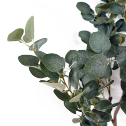 Botanik Eucalyptus Artificial Tree in Pot 5ft - Size: 150 x 50 x 50cm - Green - Wilko - thumbnail 3