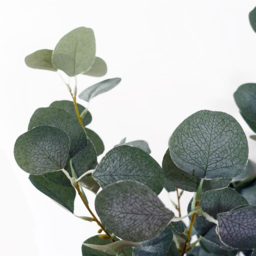 Botanik Eucalyptus Artificial Tree in Pot 5ft - Size: 150 x 50 x 50cm - Green - Wilko - thumbnail 6