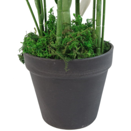 Botanik Bamboo Artificial Plant in Gold Metal Planter 2.1ft - Size: 65 x 40 x 40cm - Green - Wilko - thumbnail 5