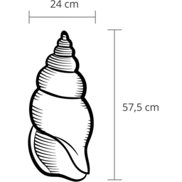 Decortie Black Minimalist Metal Modern Shell Wall Art - Size: 57.5 x 24 x 3cm - Wilko - thumbnail 5