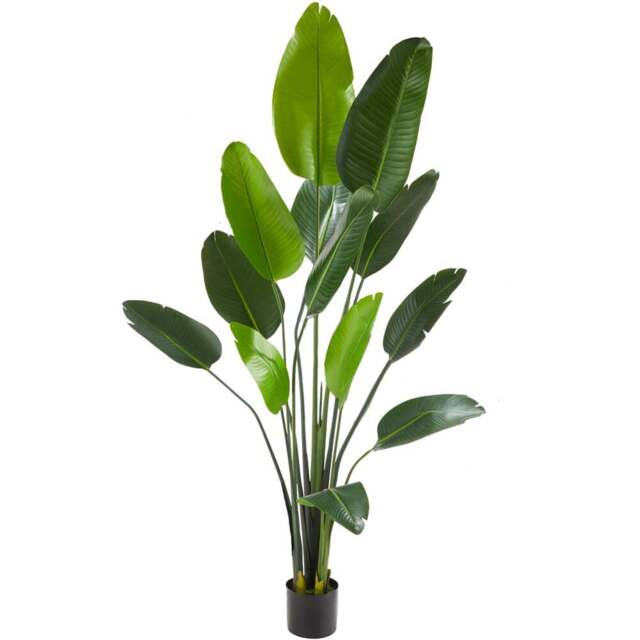 tectake Artificial Bird of Paradise Tree in Pot 180cm - Size: 180 x 25 x 25cm - Green - Wilko - image 1
