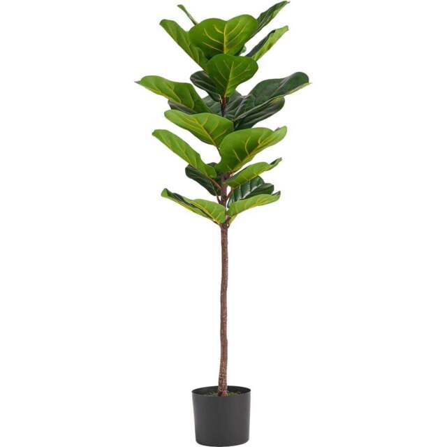 Botanik Fiddle Fig Artificial Tree in Pot 4ft - Size: 120 x 45 x 45cm - Green - Wilko - image 1