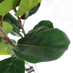 Botanik Fiddle Fig Artificial Tree in Pot 4ft - Size: 120 x 45 x 45cm - Green - Wilko - thumbnail 3