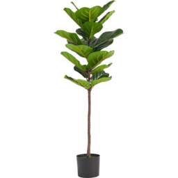 Botanik Fiddle Fig Artificial Tree in Pot 4ft - Size: 120 x 45 x 45cm - Green - Wilko - thumbnail 1