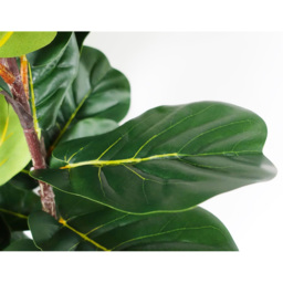 Botanik Fiddle Fig Artificial Tree in Pot 4ft - Size: 120 x 45 x 45cm - Green - Wilko - thumbnail 4