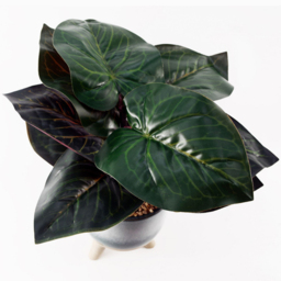 Leaf Ficus Artificial Tree in Teal Blue Green Ceramic Planter 35cm - Size: 35 x 30 x 30cm - Wilko - thumbnail 3