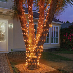 Eagle Connect 40 Gold LED String Light 5m - Size: 0.97 x 0.97 x 1.57cm - BLACK - Wilko - thumbnail 6