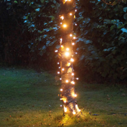 Eagle Connect 40 Gold LED String Light 5m - Size: 0.97 x 0.97 x 1.57cm - BLACK - Wilko - thumbnail 5