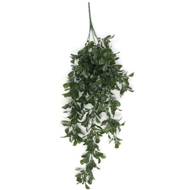 Leaf Peperomia Hanging Artificial Plant 2ft - Size: 68 x 30 x 10cm - Green - Wilko - image 1