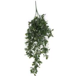Leaf Peperomia Hanging Artificial Plant 2ft - Size: 68 x 30 x 10cm - Green - Wilko - thumbnail 1