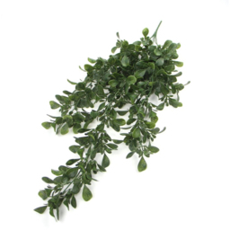 Leaf Peperomia Hanging Artificial Plant 2ft - Size: 68 x 30 x 10cm - Green - Wilko - thumbnail 3