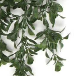 Leaf Peperomia Hanging Artificial Plant 2ft - Size: 68 x 30 x 10cm - Green - Wilko - thumbnail 4