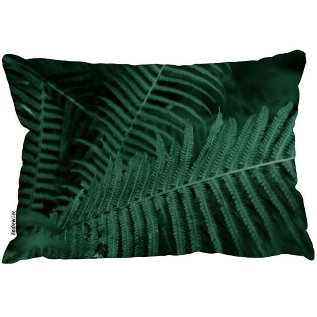 Benjamin Tate Design Deep Green Fern Leaves Cushion 45 x 30cm - Wilko - image 1