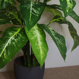 Botanik Spotted Aglaonema Artificial Plant in Copper Planter 3.3ft - Size: 100 x 70 x 70cm - Green - Wilko - thumbnail 7