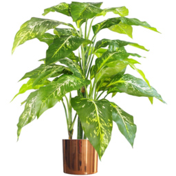 Botanik Spotted Aglaonema Artificial Plant in Copper Planter 3.3ft - Size: 100 x 70 x 70cm - Green - Wilko - thumbnail 1