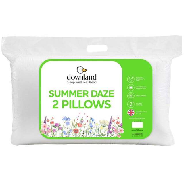 Pack of 2 Downland Summer Daze Pillows - Size: 2 Pack - White - Wilko - image 1