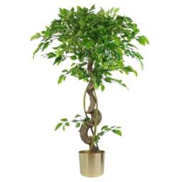 Botanik Japanese Fruticosa Ficus Artificial Tree with Twisted Trunk in Gold Metal Planter 4ft - Size: 120 x 60 x 60cm - Green - Wilko