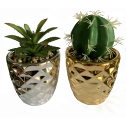 Leaf Silver and Gold Ceramic Planter with Cactus and Dracaena 15cm Set of 2 - Size: 15 x 7 x 7cm - Wilko