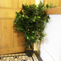 Leaf Ficus Artificial Bushy Plant 2.9ft - Size: 90 x 60 x 60cm - Green - Wilko - thumbnail 3