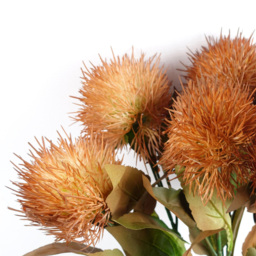 Leaf Globe Thistle Yellow Ball Artificial Flower Stem 70cm 6 Pack - Size: 70 x 15 x 15cm - Wilko - thumbnail 4