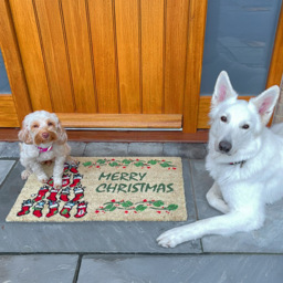 Coco & Coir Socks Xmas Coir Door Mat 45 x 75cm - n/a - Coco & Coir ® - Wilko - thumbnail 6