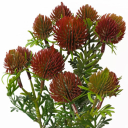 Leaf Red Craspedia Single Stem Artificial Flower 6 Pack - Size: 55 x 15 x 15cm - Wilko - thumbnail 4