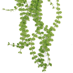 Leaf Pearl String Hanging Artificial Plant 3ft - Size: 92 x 15 x 5cm - Green - Wilko - thumbnail 4