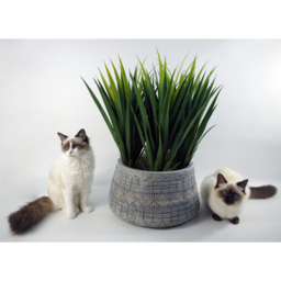 Botanik Gliese Grey Embossed Planter 22 x 37cm - Size: 22 x 37 x 37cm - Wilko - thumbnail 7