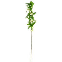 Leaf Hainan Elaeocarpus Artificial Stem 90cm 6 Pack - Size: 90 x 15 x 15cm - Green - Wilko - thumbnail 3
