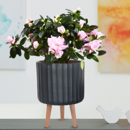 wilko Modern Ribbed Black Indoor Cylinder Plant Pot with Legs 32cm - Instadecor - thumbnail 3