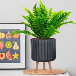 wilko Modern Ribbed Black Indoor Cylinder Plant Pot with Legs 32cm - Instadecor - thumbnail 6