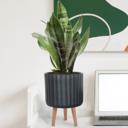 wilko Modern Ribbed Black Indoor Cylinder Plant Pot with Legs 32cm - Instadecor - thumbnail 5