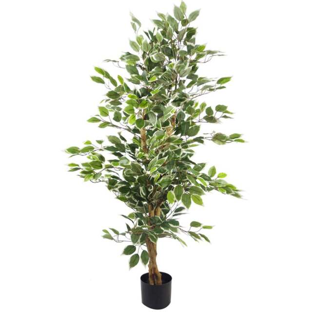 Leaf White and Green Bushy Artificial Ficus Tree in Pot 130cm - Size: 130 x 60 x 60cm - Wilko - image 1