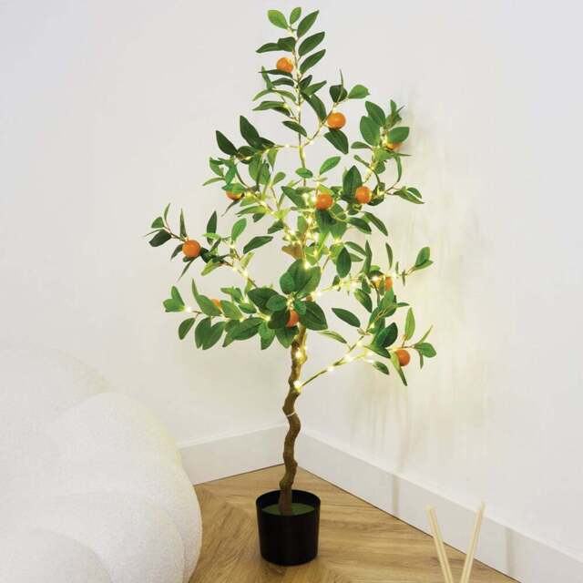 LED Orange Tree Green - Wilko - image 1