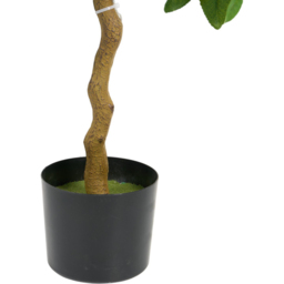 LED Orange Tree Green - Wilko - thumbnail 6