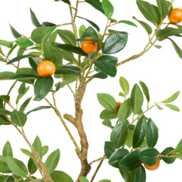 LED Orange Tree Green - Wilko - thumbnail 5