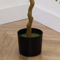 LED Orange Tree Green - Wilko - thumbnail 4
