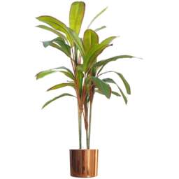 Botanik Dracaena Palm Artificial Tree in Copper Metal Planter 3.3ft - Size: 90 x 70 x 70cm - Green - Wilko