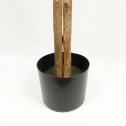 Botanik Ficus Artificial Tree in Pot 5ft - Size: 150 x 80 x 80cm - Green - Wilko - thumbnail 5
