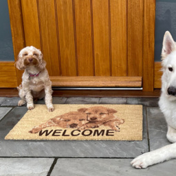 Coco & Coir Puppy Welcome Coir Door Mat 45 x 75cm - n/a - Coco & Coir ® - Wilko - thumbnail 3