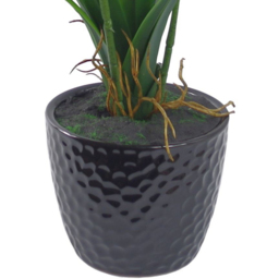 Leaf Dark Pink Artificial Orchid in Ceramic Planter 1.6ft - Size: 50 x 50 x 50cm - Wilko - thumbnail 5