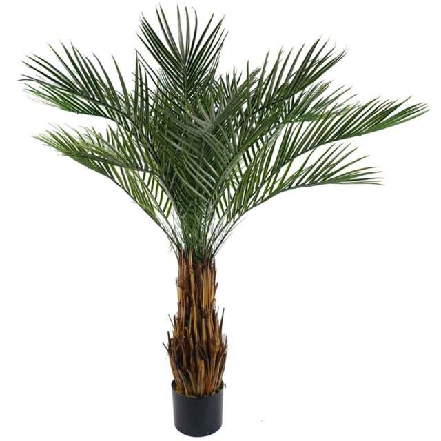 Leaf Cycas Palm Outdoor Artificial Tree in Pot 120cm - Size: 120 x 110 x 110cm - Green - Wilko - image 1