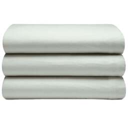 Serene Single Apple Green Brushed Cotton Flat Bed Sheet - Wilko