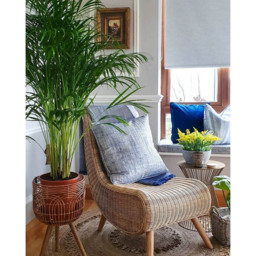 Desser Cream Wicker Teardrop Chair - Size: Single - Wilko - thumbnail 5