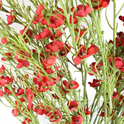 Leaf Artificial Foliage Stem with Red Flowers 100cm 6 Pack - Size: 100 x 12 x 12cm - Wilko - thumbnail 4