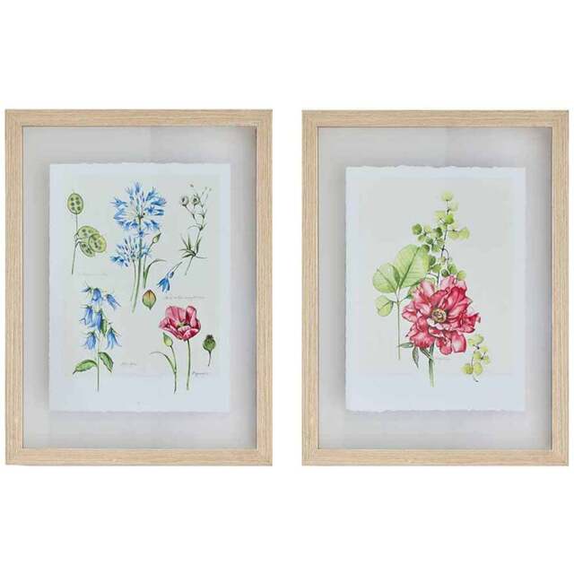 Art For The Home  Fleur Studies Set of 2 - Size: 3.2 x 30 x 40cm - Multi - Wilko - image 1