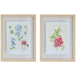 Art For The Home  Fleur Studies Set of 2 - Size: 3.2 x 30 x 40cm - Multi - Wilko - thumbnail 1