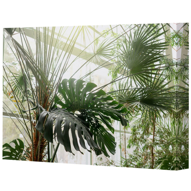 Benjamin Tate Design Green Plants in Botanical Garden Canvas 61 x 41cm - Wilko - image 1